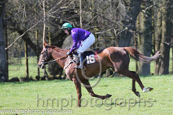 09th F - Step Back (18)  M J Lynch - Trainer: George Stewart - green, red sleeves
