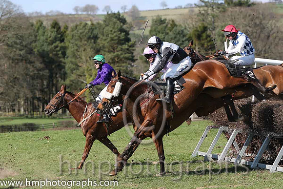 02nd - Jardin Des Plantes (16)  R James - Trainer: Colin Bowe - purple