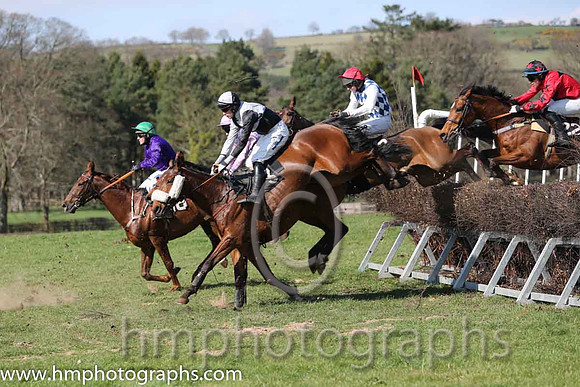 02nd - Jardin Des Plantes (16)  R James - Trainer: Colin Bowe - purple