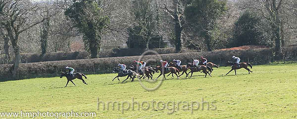 Race 4 at east antrim Hounds P2P at Loughanmore on East Monday 2015