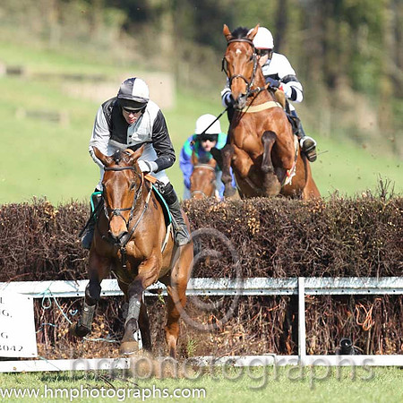 01st - Gonal (7)  N Gault - Trainer: John Bryson - black  white hoops