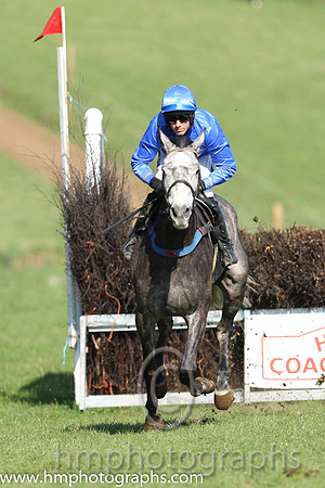 06th F - Freddies Portrait (6)  B O'Neill - Trainer: Colin Bowe - dark blue, yellow diamond