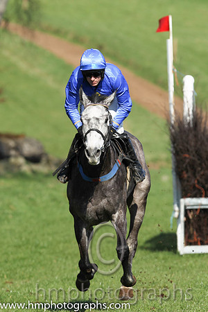 06th F - Freddies Portrait (6)  B O'Neill - Trainer: Colin Bowe - dark blue, yellow diamond