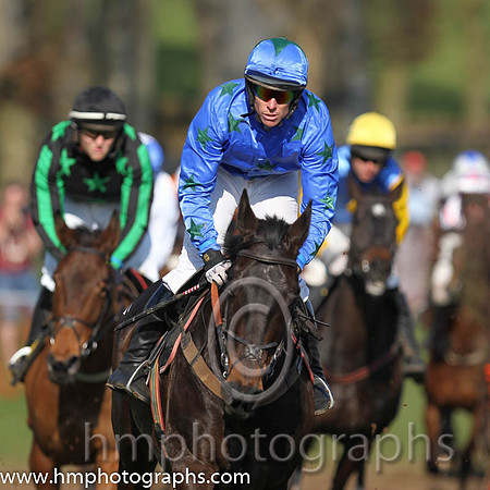08th PU - Cabra Boy (4)  A H Wells - Trainer: Alan A H wells - blue, green stars