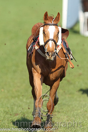 06th F - I'm An Izz Wizz (8)  D G lavery - Trainer: Miss Suzy Barkley - blue, tartan sleeves