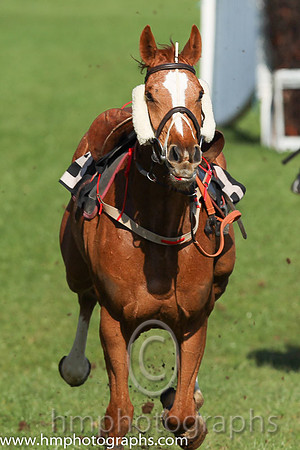 06th F - I'm An Izz Wizz (8)  D G lavery - Trainer: Miss Suzy Barkley - blue, tartan sleeves
