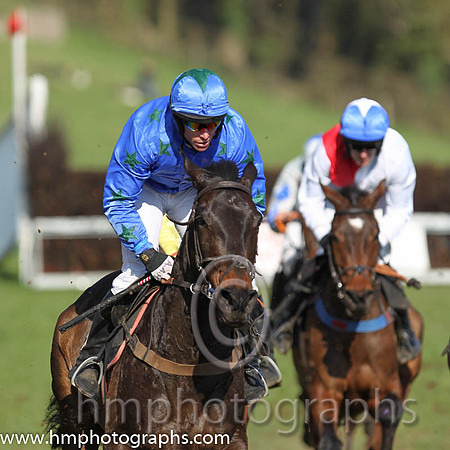 08th PU - Cabra Boy (4)  A H Wells - Trainer: Alan A H wells - blue, green stars