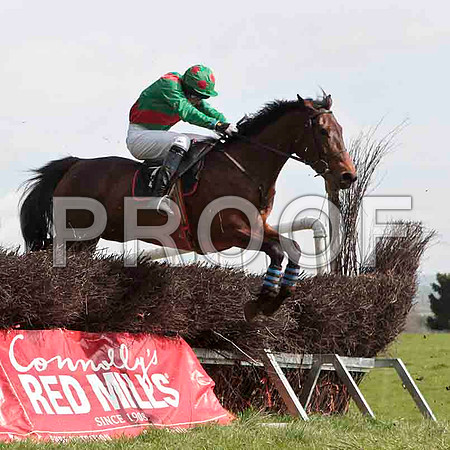 Glenarden , PU, Jockey - J W Bright - CU2D4562-e