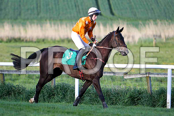 Benagh Rock , 7th, Jockey - Mr J C Barry - FT8E3156-e