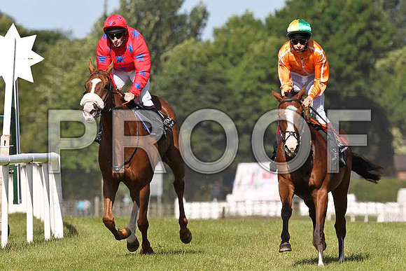 Contra Mundum 8th, Jockey M C Hussey &  Time Travel 7th, Jockey J P O'Brien - FT8E1390-e