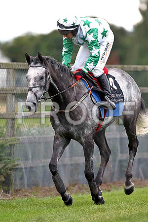 Mister Castlefield 3rd, Jockey P Carberry - FT8E3779-e