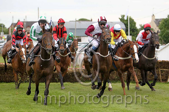 R1 - Along Came Polly 5th, Qui Est Thou 6th, Venture Wild 11th, Jack Apple 3rd, Niamh's Flyer Fell, Bachelor Lad 4th, Kings Cashel  - PUCU2D9849-e