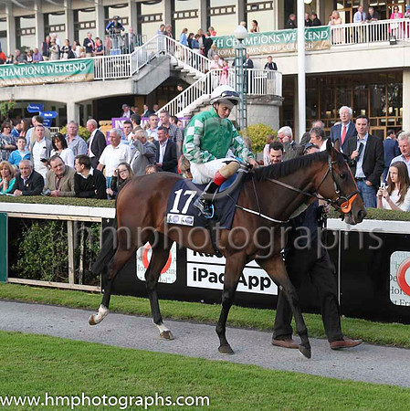 05 Maremmadiavola and R P Downey - - 05th (17 ,emerald green, emerald green and white checked sleeves ) Trainer - E Lynam