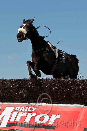 Unanswered - Fell, Jockey Mr A T DuffCU2D4748-e