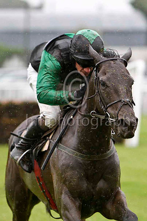 Hepahepa Naeney & P Carberry - 5th (4, black, emerald green diamond) - FT8E5130-e