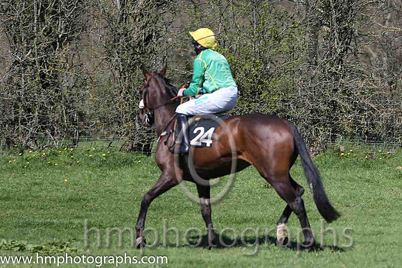 09th Playingwithnumbers ( 24 )  S Clements - Trainer : J P Brennan - green, yellow cap