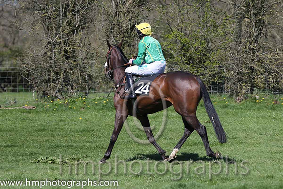 09th Playingwithnumbers ( 24 )  S Clements - Trainer : J P Brennan - green, yellow cap