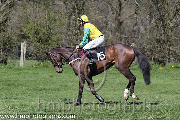 01st Born Survivor ( 15 )  J J Codd - Trainer : W F Codd - yellow