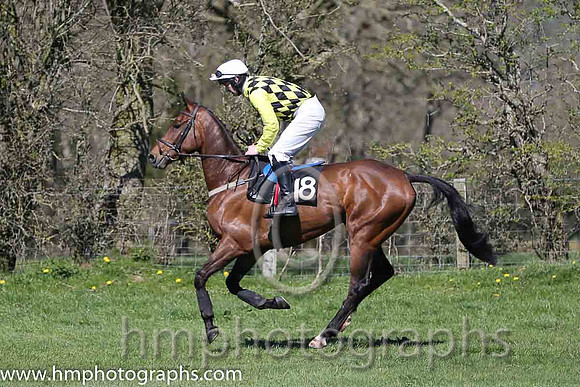 07th Barney From Tyanee ( 18 )  M J O'Hare - Trainer : S R B Crawford - brown  yellow check