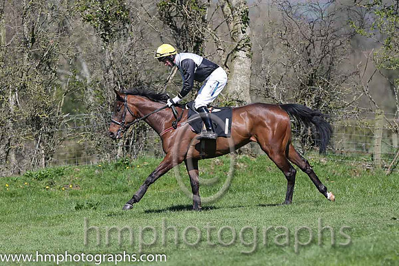 05th Ballycash ( 1 )  Derek O'Connor - Trainer : Colin S McKeever - black  white qtrd