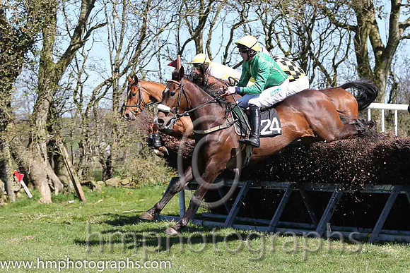09th Playingwithnumbers ( 24 )  S Clements - Trainer : J P Brennan - green, yellow cap