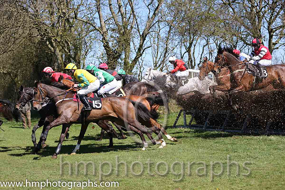 01st Born Survivor ( 15 )  J J Codd - Trainer : W F Codd - yellow