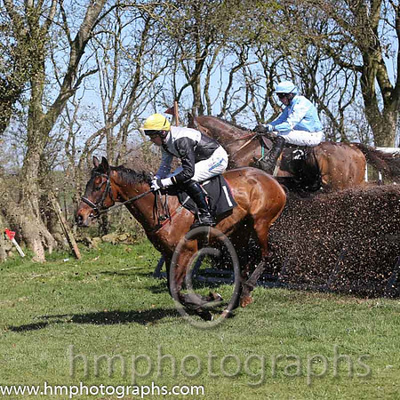 05th Ballycash ( 1 )  Derek O'Connor - Trainer : Colin S McKeever - black  white qtrd