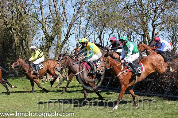03rd Fionn Mac Cul ( 5 )  R James - Trainer : Michael Goff - Green