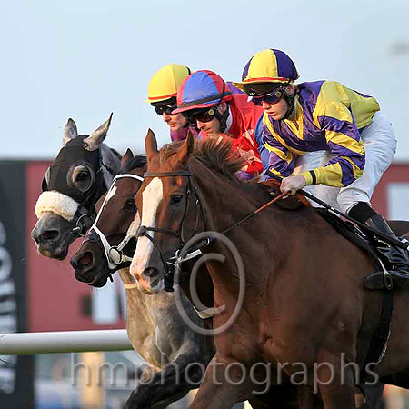 Force Of Habit & P J Smullen - 16th (4, purple, yellow cross) , Neighbourly & W M Lordan - 11th (16, red, shite stars, blue sleeves) & Keelaghan & L P Dempsey - 9th (9. yellow, purple cross CU2D4150-e