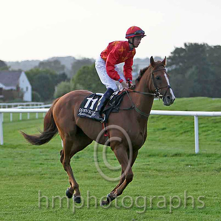 Whisky Galore & James J Doyle - 15th (11, red, orange stars) - FT8E6482-e