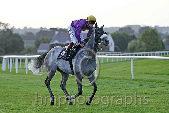 Force Of Habit & P J Smullen - 16th (4, purple, yellow cross) - FT8E6485-e