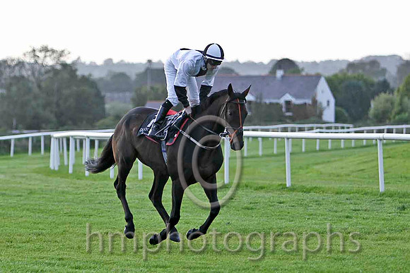 Rawnaq & D P McDonogh - 3rd (7, white, black panel) - FT8E6486-e