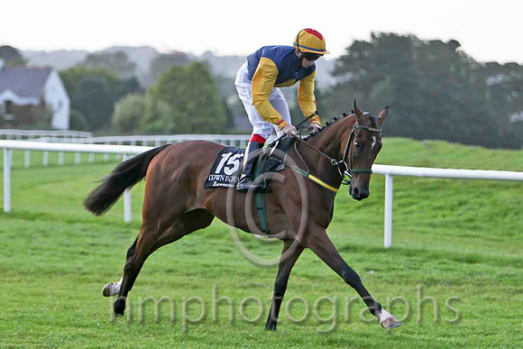 Blue Cannon & C P Hoban - Winner (15, dark blue, yellow diamond) - FT8E6491-e