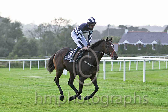 Deutschland & D E Mullins - 4th (3, dark blue and white hoops) - FT8E6492-e
