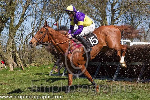 06th Rhythm Of Sound ( 15 )  J J Codd - Trainer : W F Codd - purple  yellow qtrd