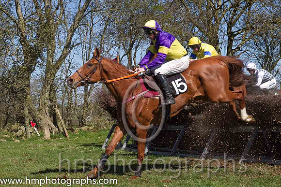 06th Rhythm Of Sound ( 15 )  J J Codd - Trainer : W F Codd - purple  yellow qtrd