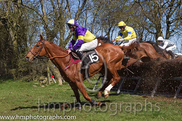 06th Rhythm Of Sound ( 15 )  J J Codd - Trainer : W F Codd - purple  yellow qtrd