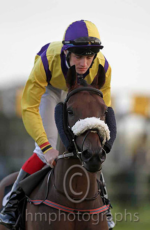 Arabela & S A Gray - 9th (10, yellow and purple chevrons) - CU2D4090-e