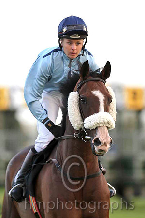 Jigalo & Kate McGivern - 5th (2, pale blue , dark blue seams) - CU2D4095-e