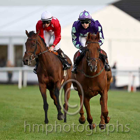 Annie Go & C T Keane - Winner (6, red,white spots) &Hide The Evidence & J P Killahena - 2nd (11, purple, light green triple diamond) -  CU2D4102-e