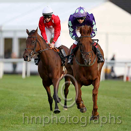 Annie Go & C T Keane - Winner (6, red,white spots) &Hide The Evidence & J P Killahena - 2nd (11, purple, light green triple diamond) -  CU2D4103-e