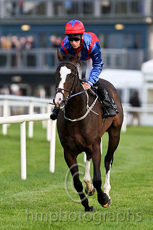 Strove for Gold & M E Rafferty - 13th (3, red, royal blue chevrons) - CU2D4109-e