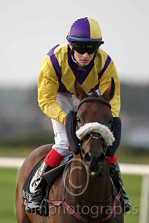 Arabela & S A Gray - 9th (10, yellow and purple chevrons) - CU2D4117-e