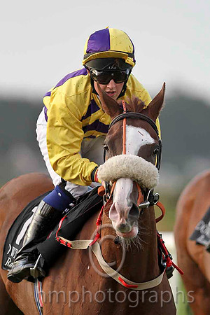 Arabela & S A Gray - 9th (10, yellow and purple chevrons) - CU2D4120-e