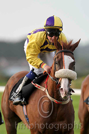 Arabela & S A Gray - 9th (10, yellow and purple chevrons) - CU2D4121-e