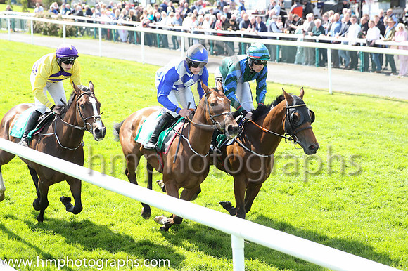 06th Future Proof (5 ,dark green, royal blue chevron ) Jockey: J P O'Sullivan ,Trainer: P J Rothwell