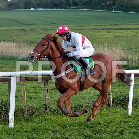 Our Cathal , 9th, Jockey Mr S F Magee - CU2D9347-e