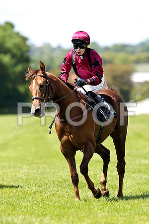 Clodagh Baby , Jockey D J Moran , 5th - FT8E1229-e