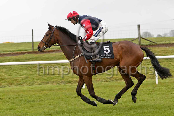 Terminal (5, dark blue, white star red sleeves white stars) & R Walsh - winner - FT8E2805-e
