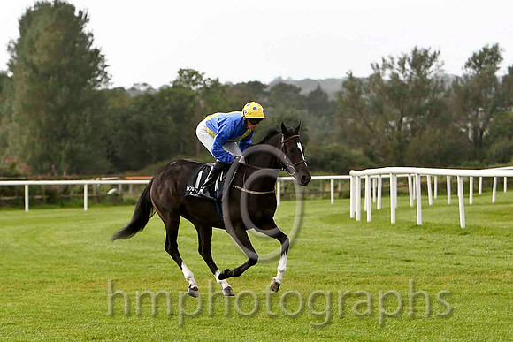 Tale Of Fame & J a Heffernan - 8th (1, royal blue, yellow sash) - FT8E6383-e